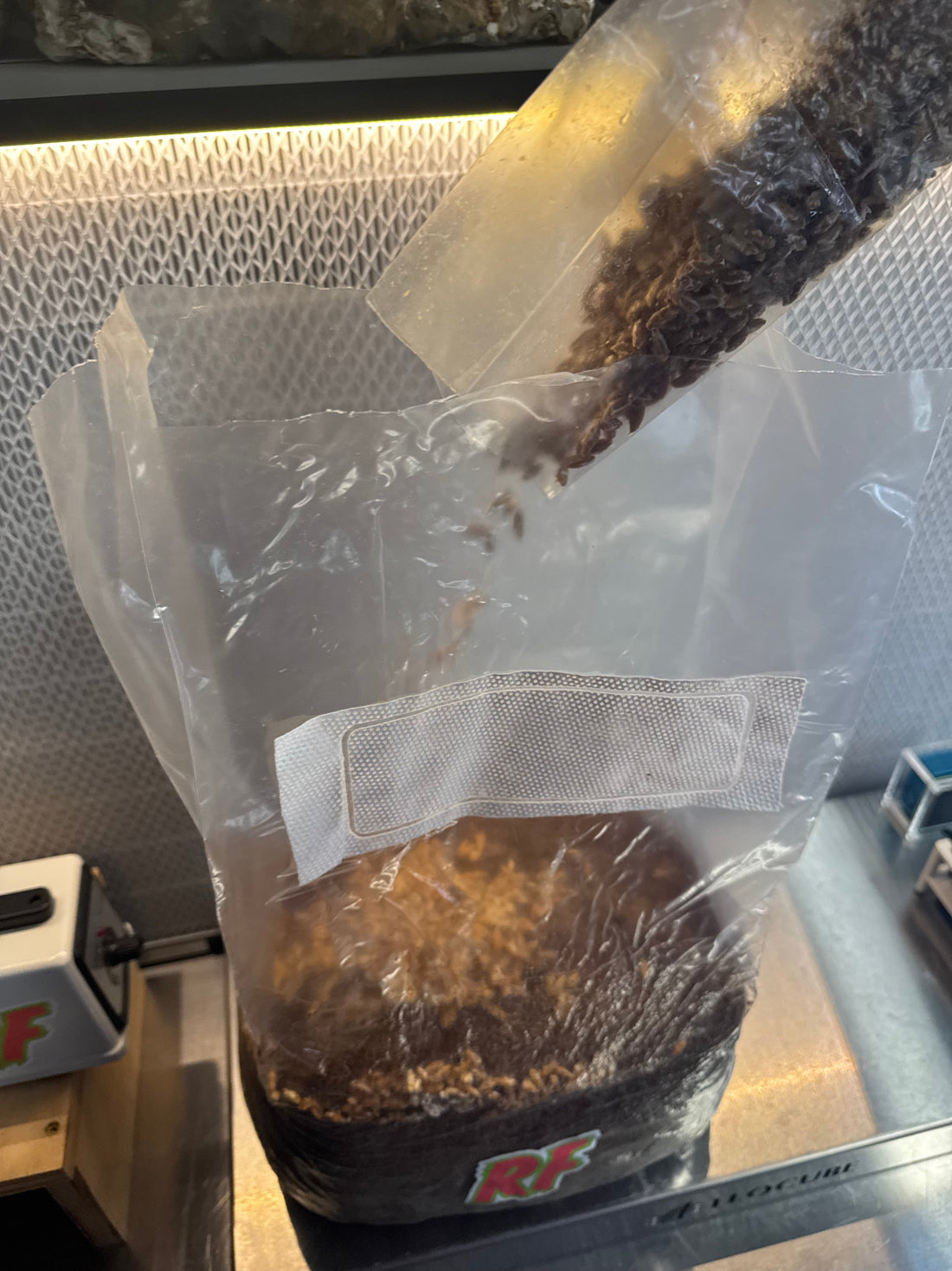 Master’s Mix Substrate Tek for Fruiting Blocks - Rhizo Funga