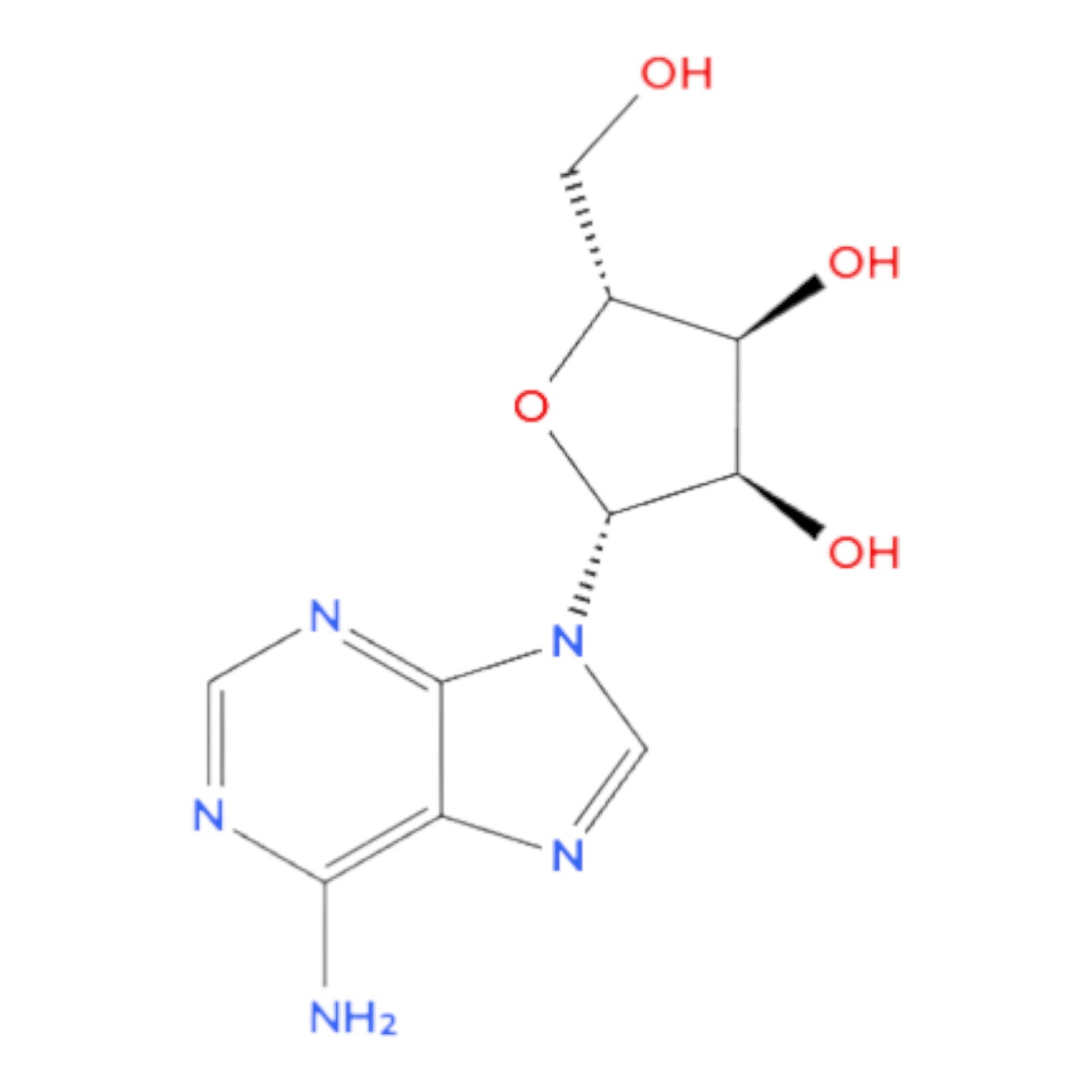 Chemical structure diagram of Adenosine on a white background