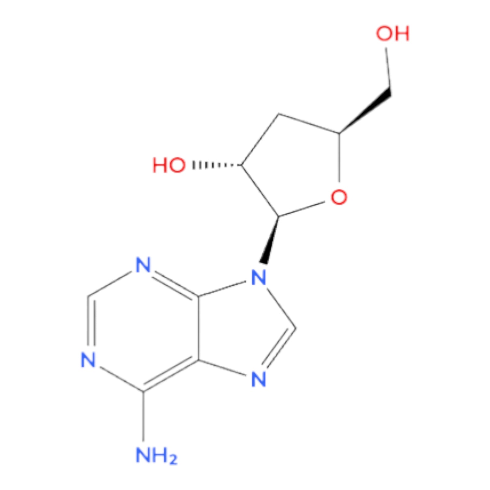 Cordycepin chemical structure diagram of a nucleobase on a white background