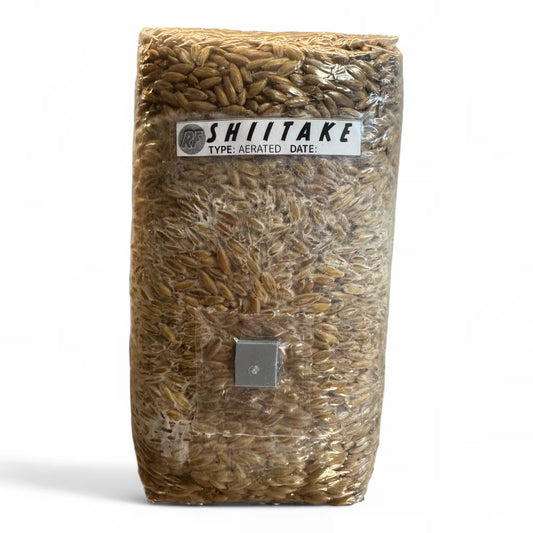 Partially colonized Shiitake Whole Oat Grain Spawn in a 4T-INJ Unicorn bag with a white background.