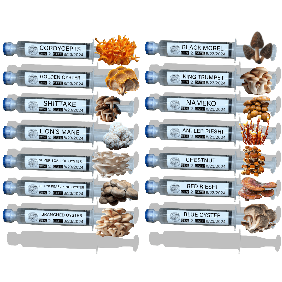 LC Product Images-22.png__PID:53322f6a-8499-4192-9a99-e7a04e91e3c2