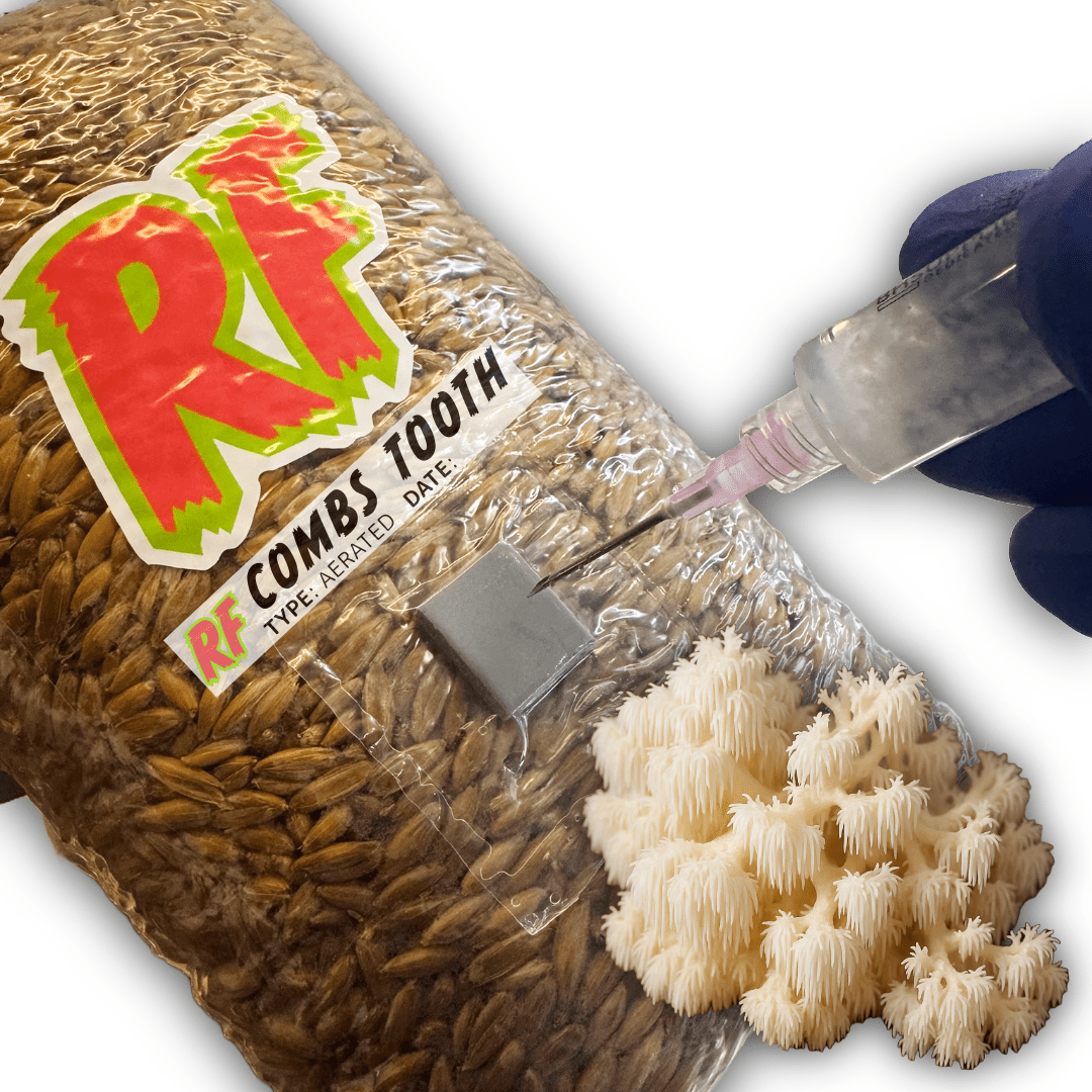 Rhizo Funga Comb Tooth (Hericium Ramosum) Grain Spawn
