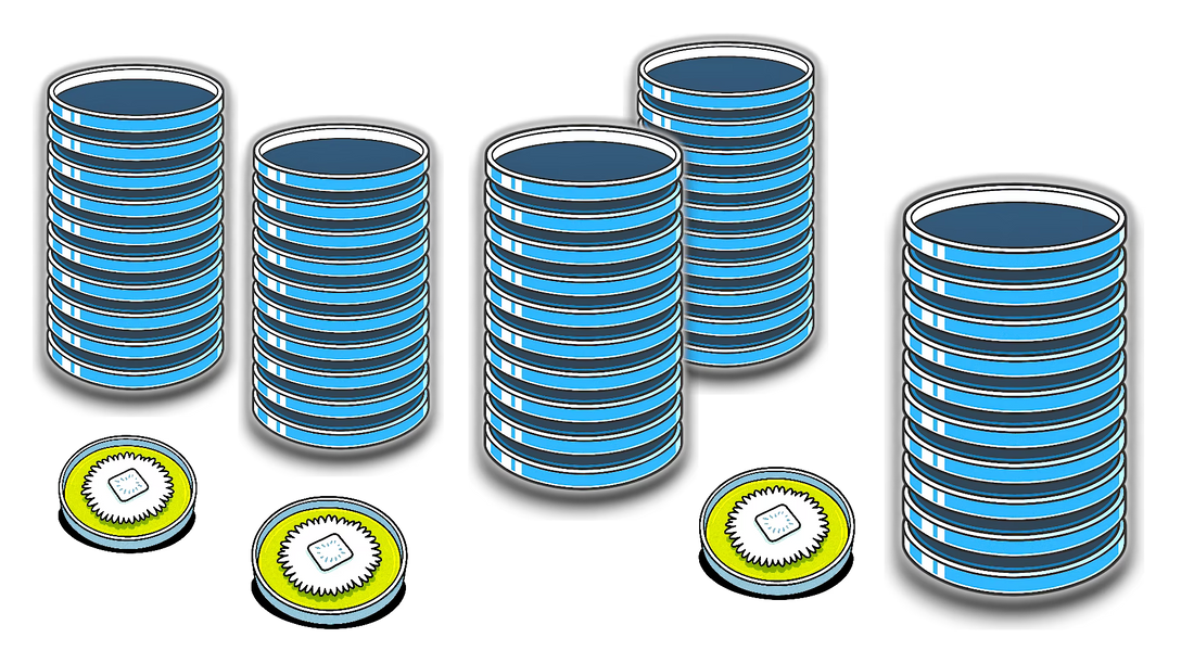 The Best Agar Recipe for Mycology