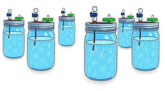 The Best Liquid Culture