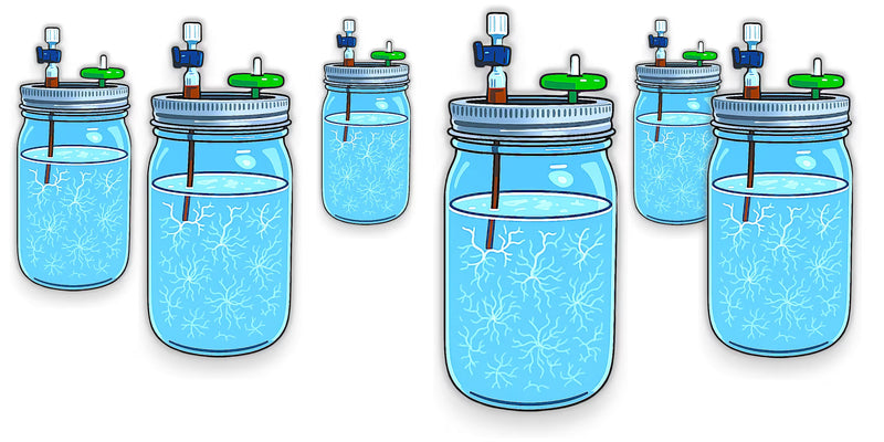 What Really Makes the Best Liquid Culture?