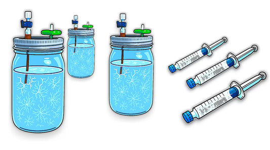 How to Make Liquid Culture for Mushrooms