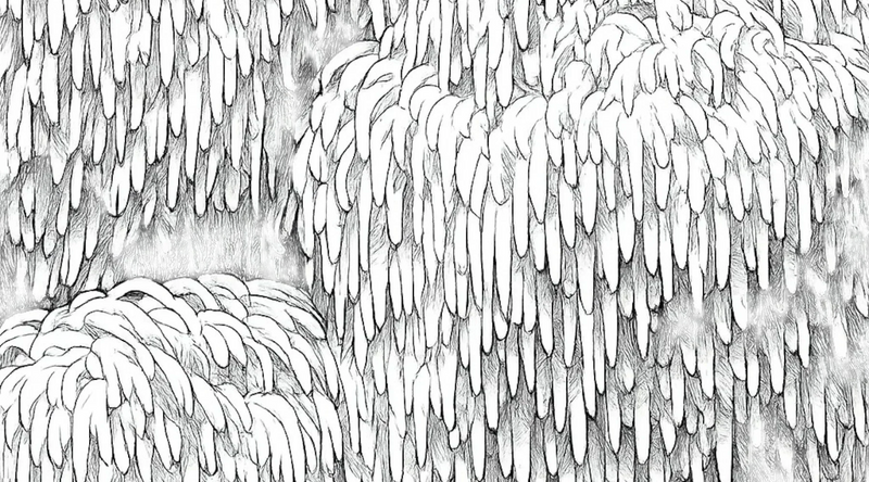 Close up of Lion's Mane drawn in pencil. 