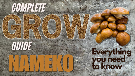 Blog post Banner on a complete guide on how to grow Nameko Mushrooms