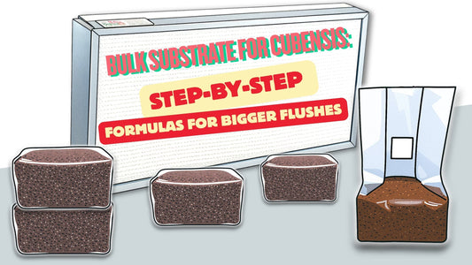 Bulk Substrate for Cubensis blog post image with flow hood and subrate bags on a white background