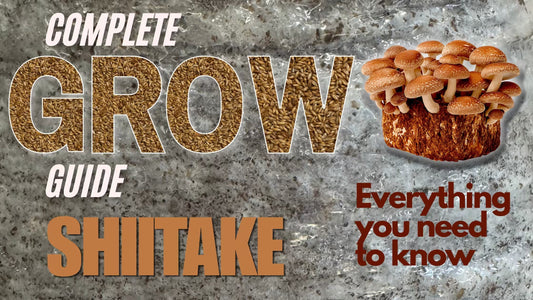 Blog post Banner on a complete guide on how to grow Shiitake Mushrooms