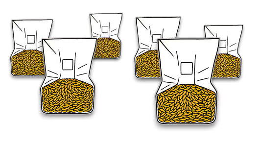 Grain Spawn for Home Cultivation