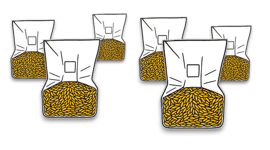 How to Make Grain Spawn for Mushrooms