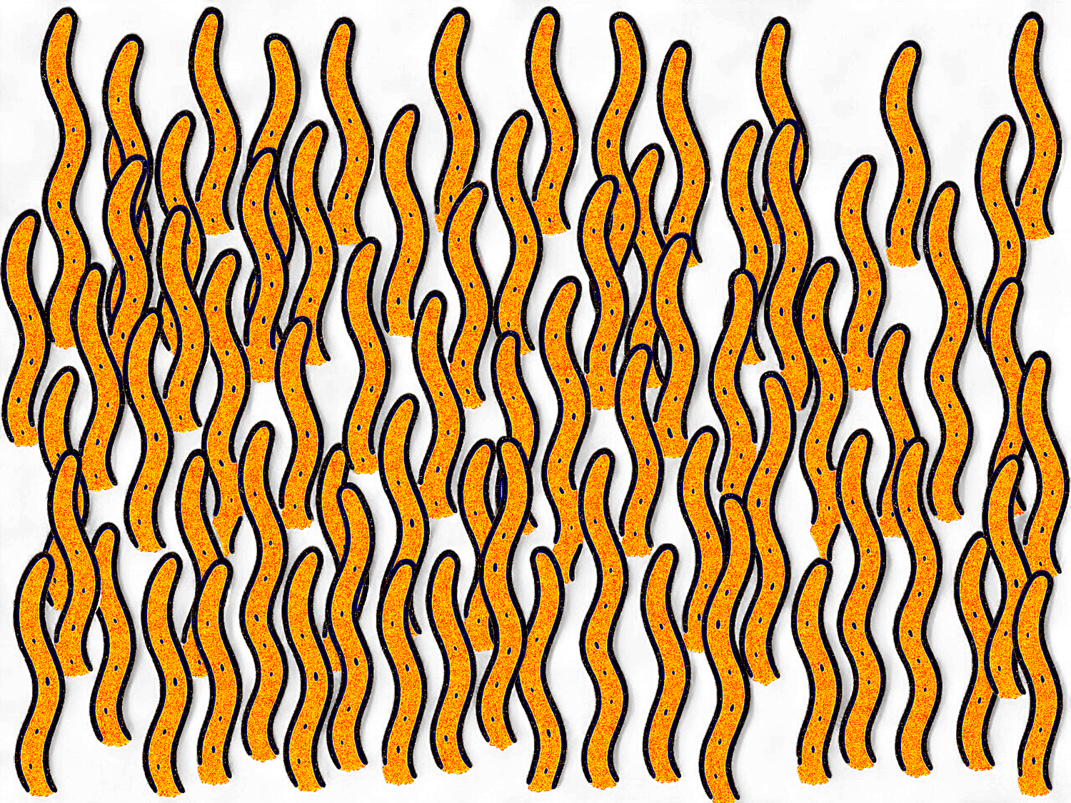 Apparel & Merch - Rhizo Funga