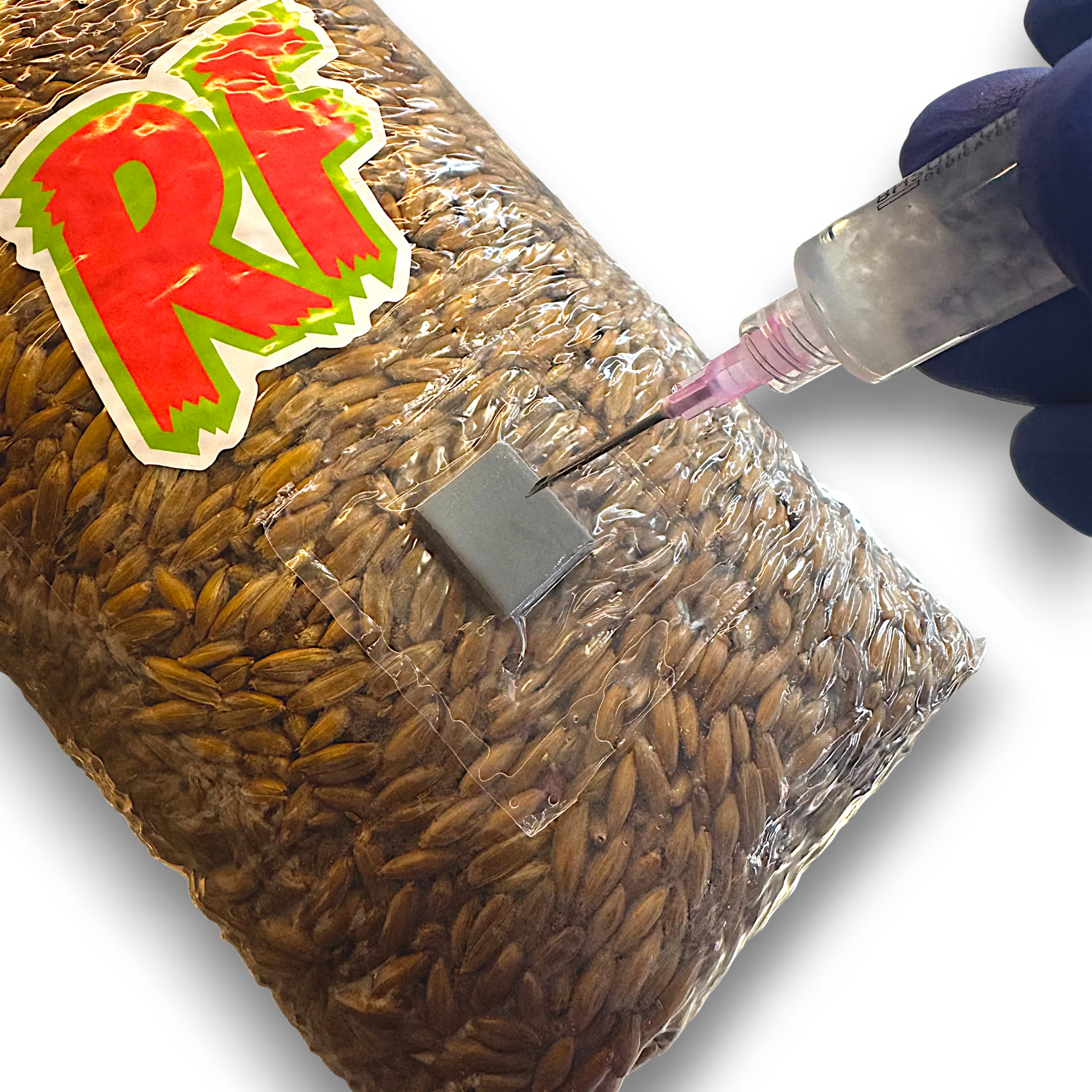 Liquid Culture Syringe inoculating grain spaw bagn