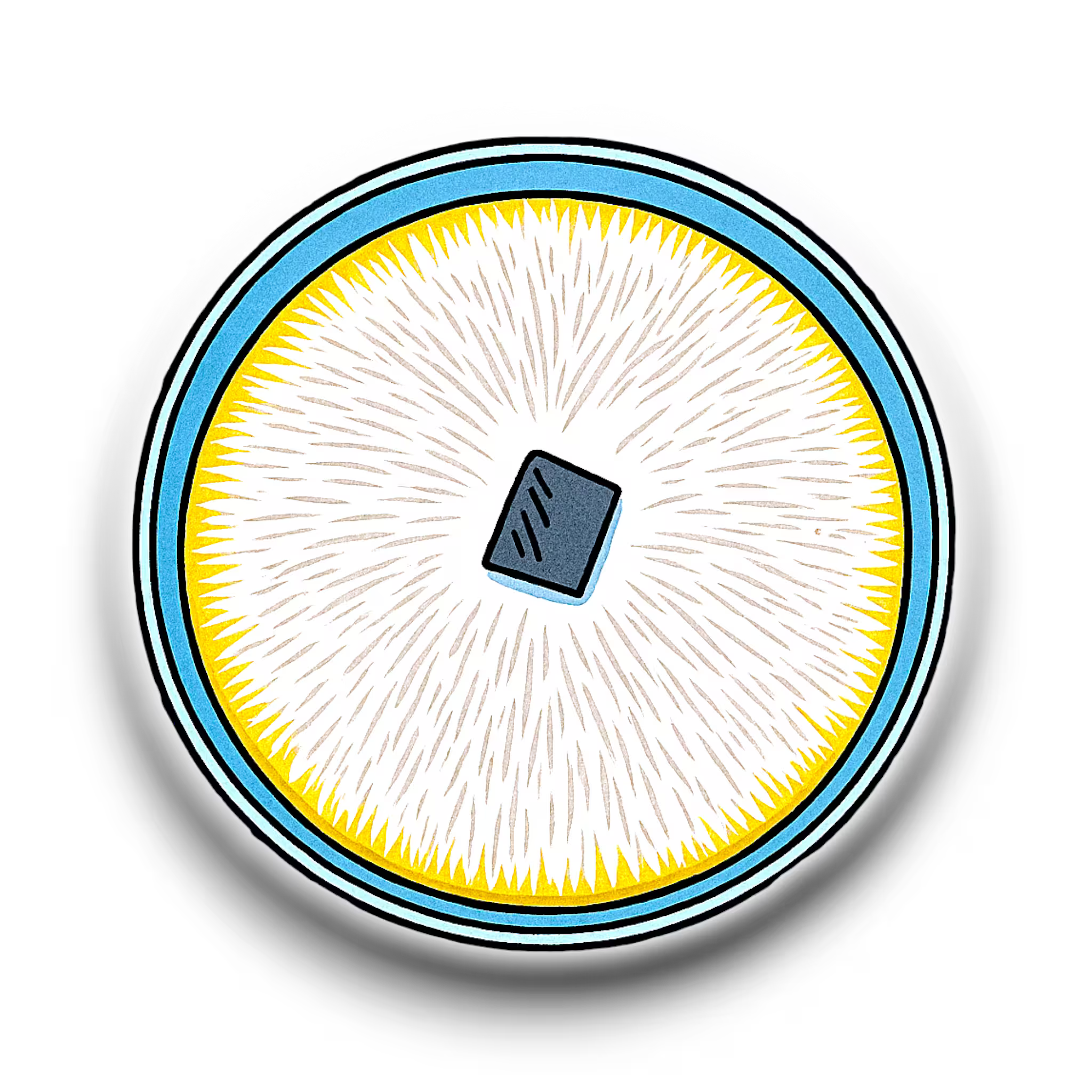 Agar Plate colonized by a transferred wedge of colonized agar