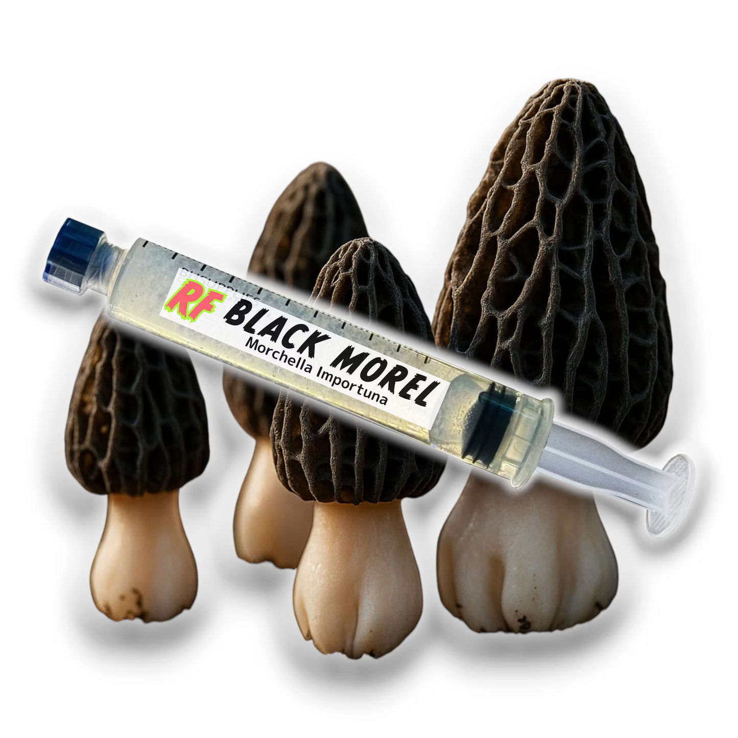 Image of a Black Morel (Morchella Importuna) behind its Liquid Culture Syringe for growing mushrooms