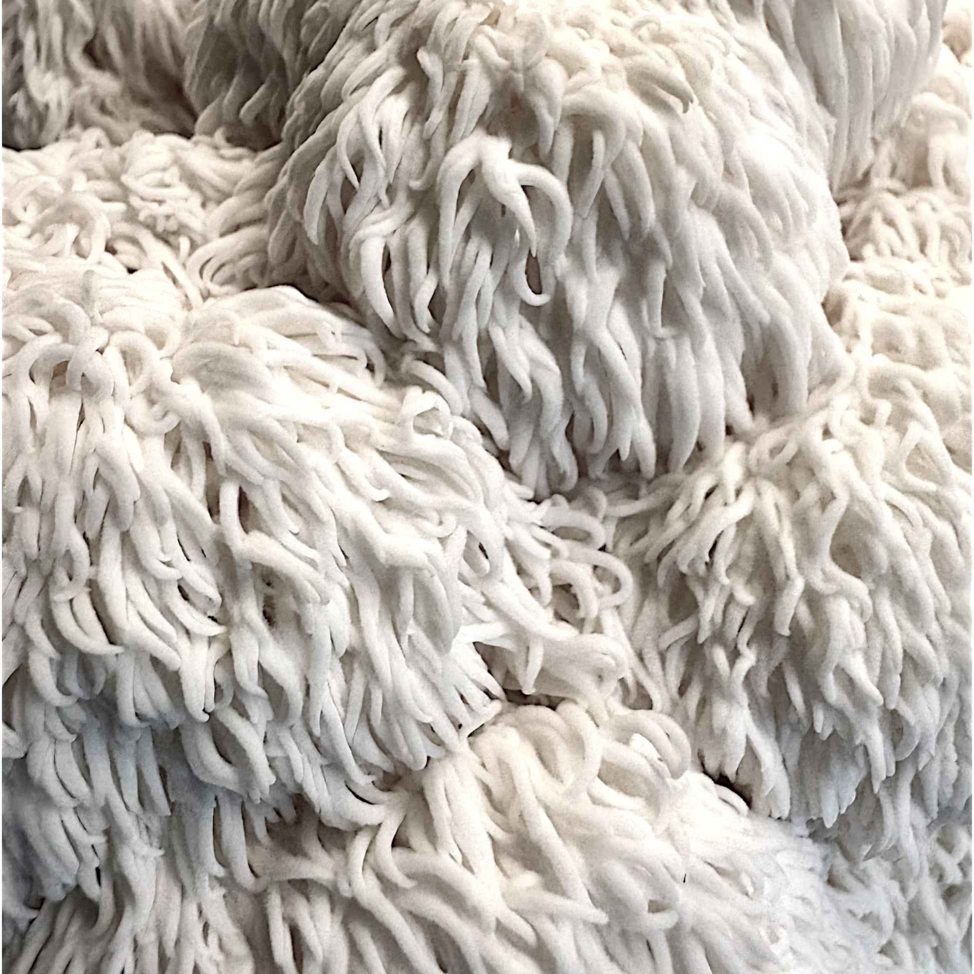 Close up Image of ion's Mane (Hericium Erinaceus) mushrooms