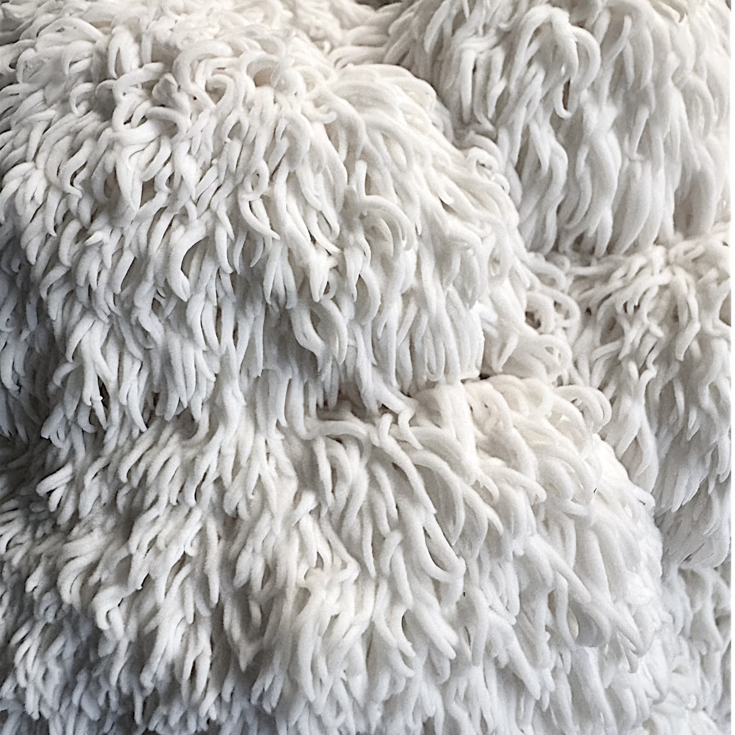 Close up Image of ion's Mane (Hericium Erinaceus) mushrooms