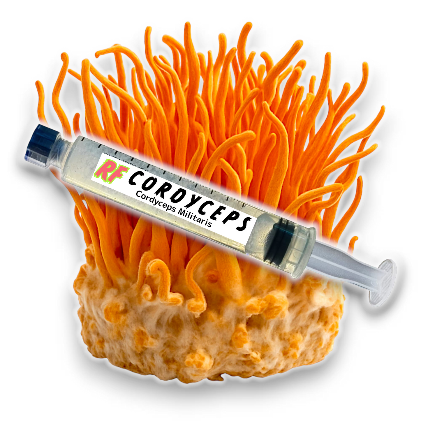 Cordyceps (Cordyceps Militaris) Liquid Culture Syringe for growing mushrooms and cluster of Cordyceps (Cordyceps Militaris) Mushrooms with white background