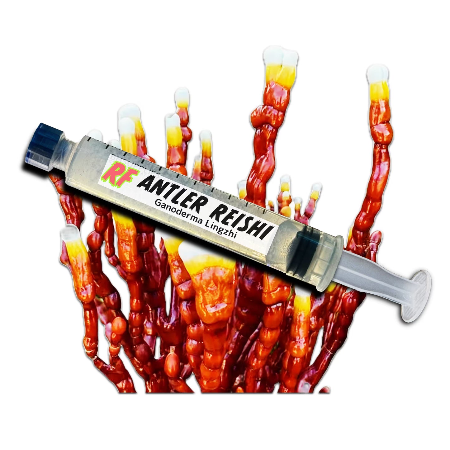 Antler Reishi (Ganoderma Lingzhi) Liquid Culture Syringe for growing mushrooms and cluster of Antler Reishi (Ganoderma Lingzhi) Mushrooms with white background.