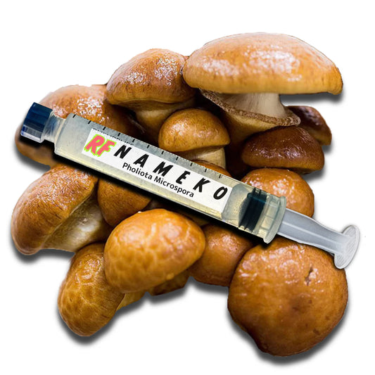 Nameko (Pholiota Microspora) Liquid Culture Syringe for growing mushrooms and cluster of Nameko (Pholiota Microspora) Mushrooms with white background