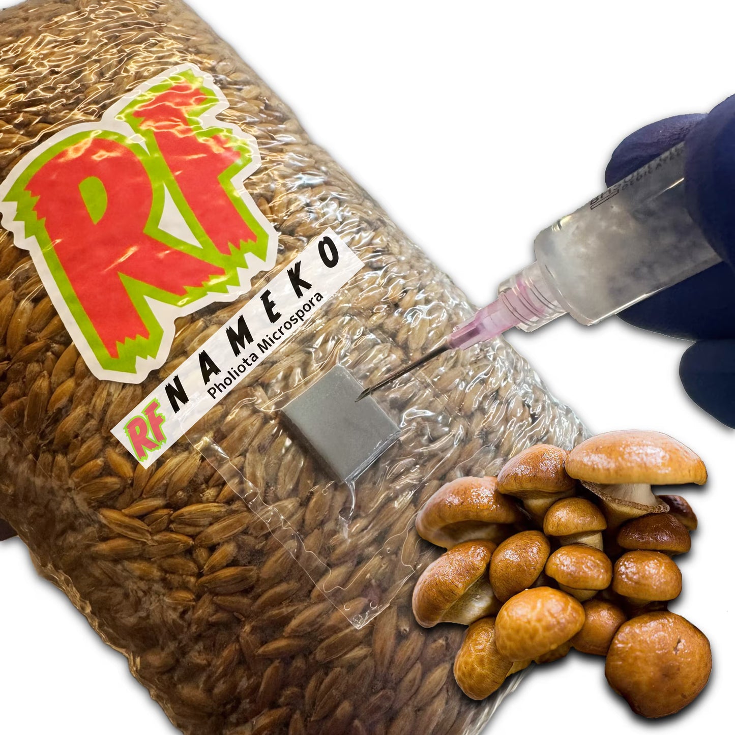 4T-Inj Unicorn Bag labeled Nameko (Pholiota Microspora) with hand holding Liquid Culture syringe inoculating Sterilized Grain for Nameko (Pholiota Microspora) Grain Spawn with white background.