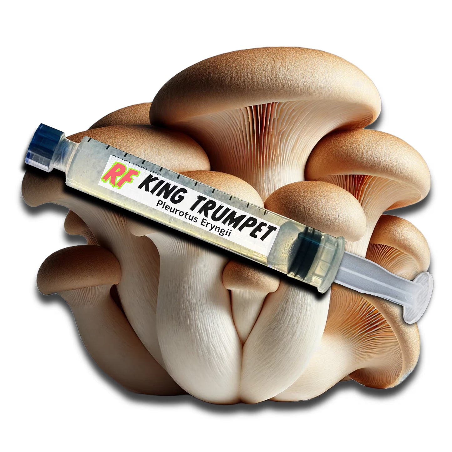 King Trumpet (Pleurotus eryngii) Liquid Culture Syringe for growing mushrooms and cluster of King Trumpet (Pleurotus eryngii) Mushrooms with white background
