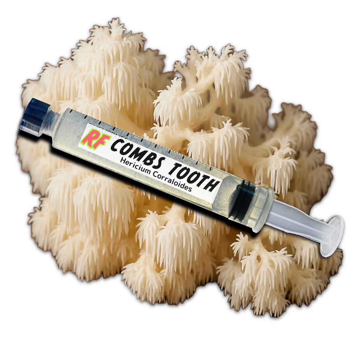 Comb Tooth (Hericium Corraloides) Liquid Culture Syringe for growing mushrooms and cluster of Comb Tooth (Hericium Corraloides) Mushrooms with white background