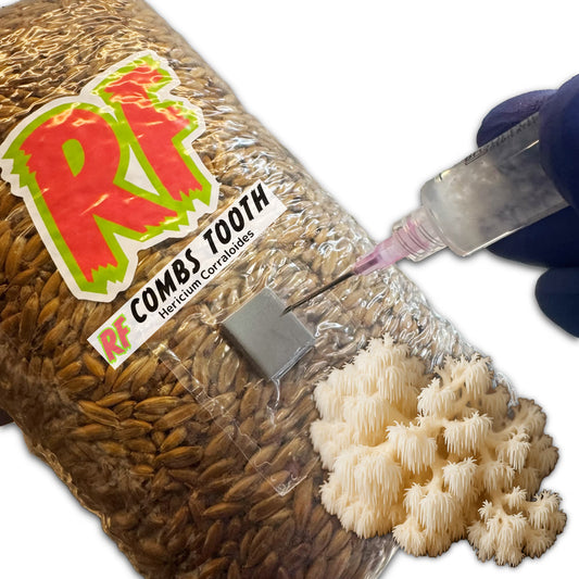 4T-INJ Unicorn Bag labeled Comb Tooth (Hericium Corraloides) with hand holding Liquid Culture syringe inoculating Sterilized Grain for Comb Tooth (Hericium Corraloides) Grain Spawn with white background.