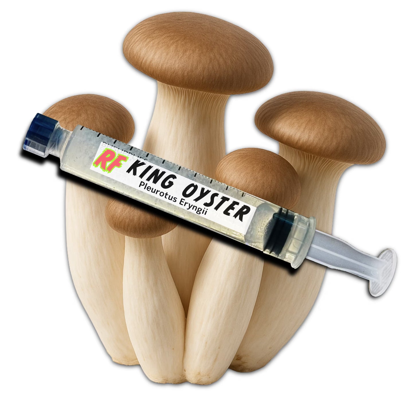 Liquid Culture Syringe for growing King Oyster (Pleurotus Eryngii) mushrooms on a white background