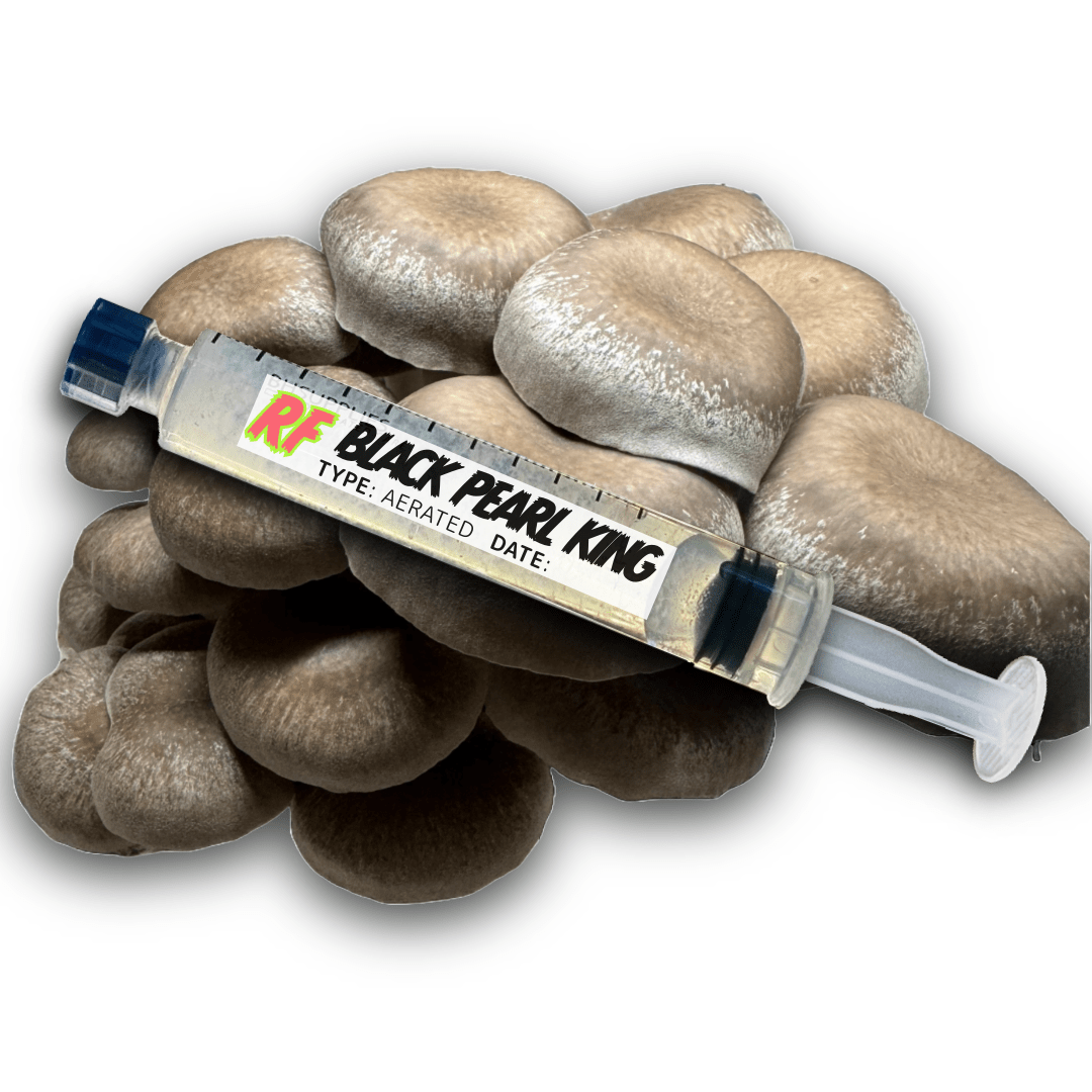 My Store Black Pearl King (Pleurotus spp.) Syringe Kit