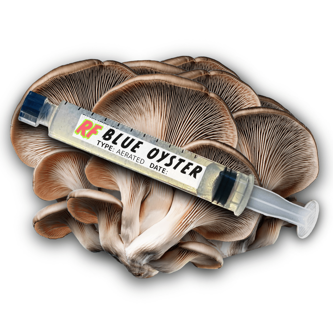 My Store Blue Oyster (Pleurotus Ostreatus) Syringe Kit