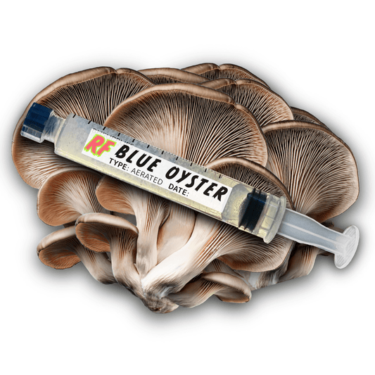 My Store Blue Oyster (Pleurotus Ostreatus) Syringe Kit