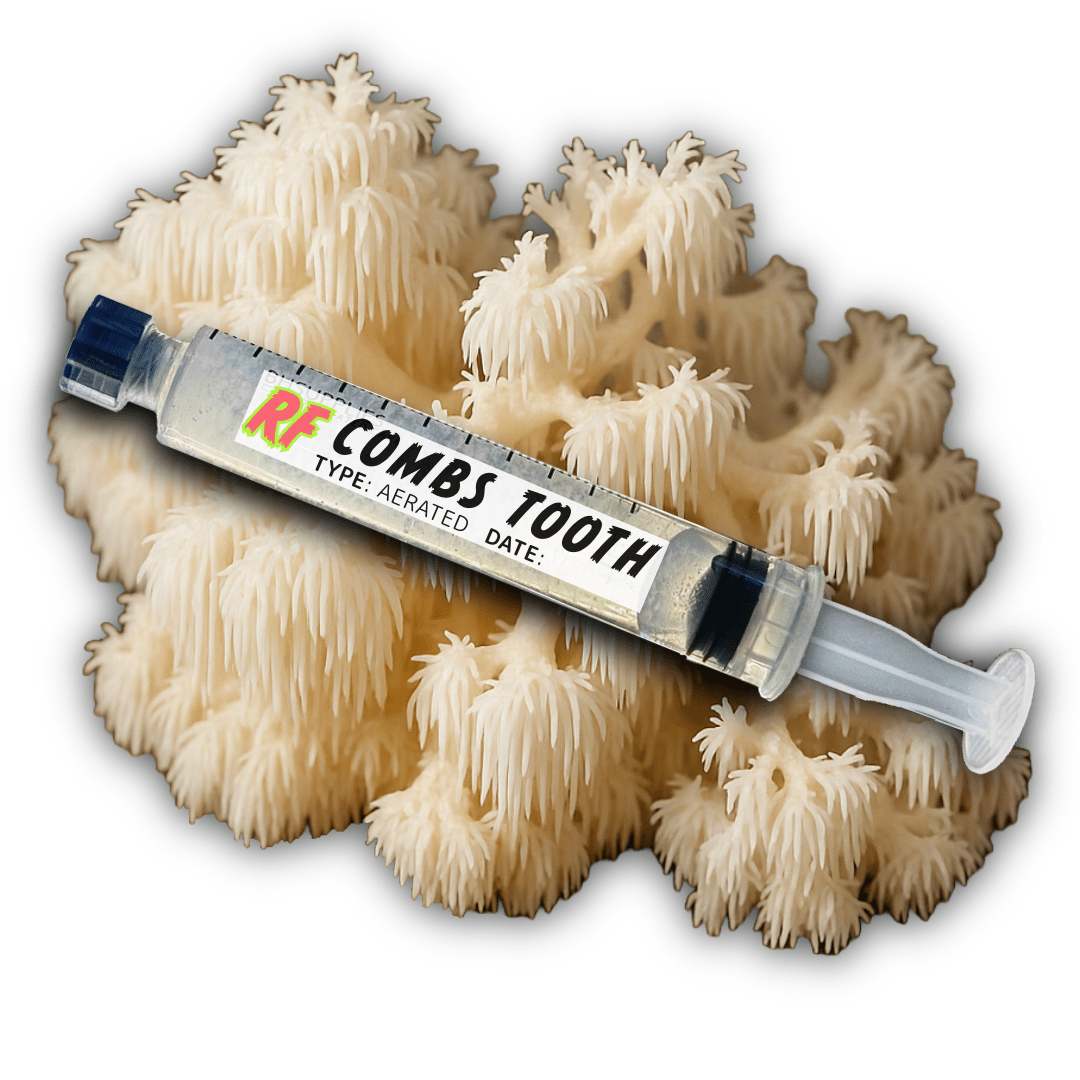 My Store Comb Tooth (Hericium ramosum) Syringe Kit