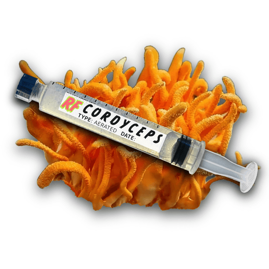 My Store Cordyceps (Cordyceps Militaris) Syringe Kit