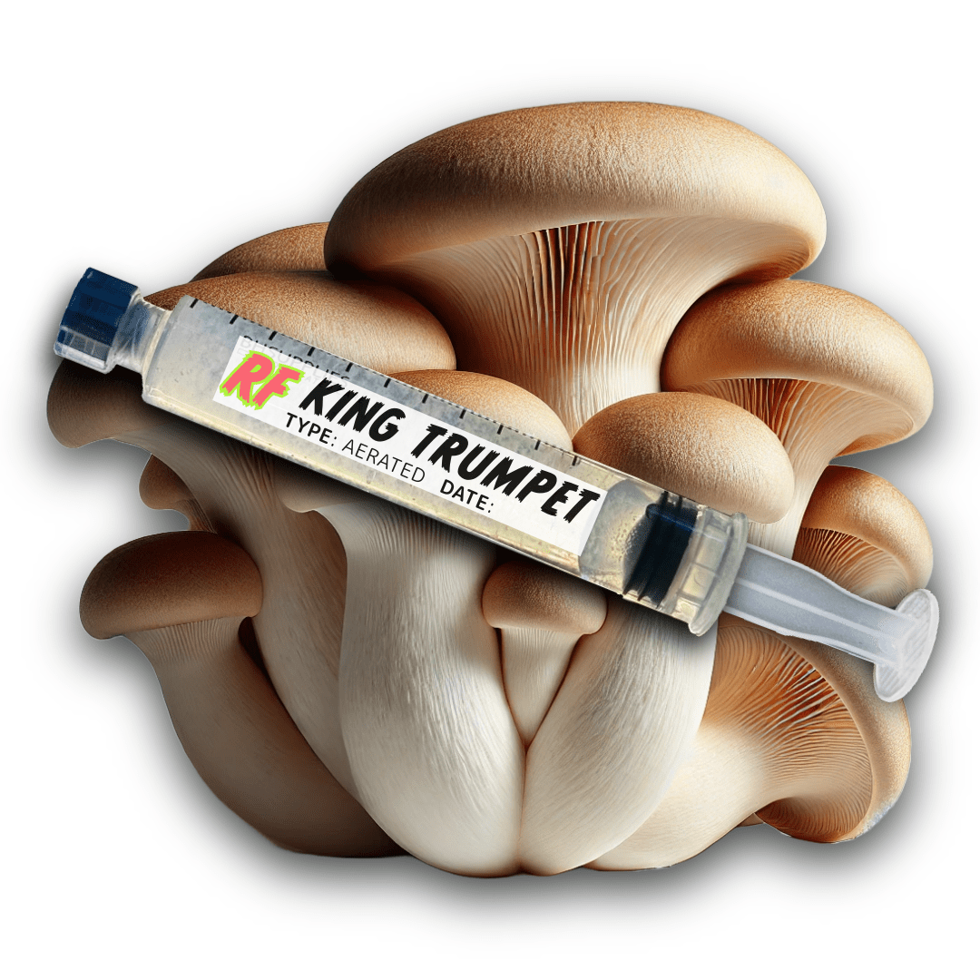 My Store King Trumpet (Pleurotus eryngii) Syringe Kit