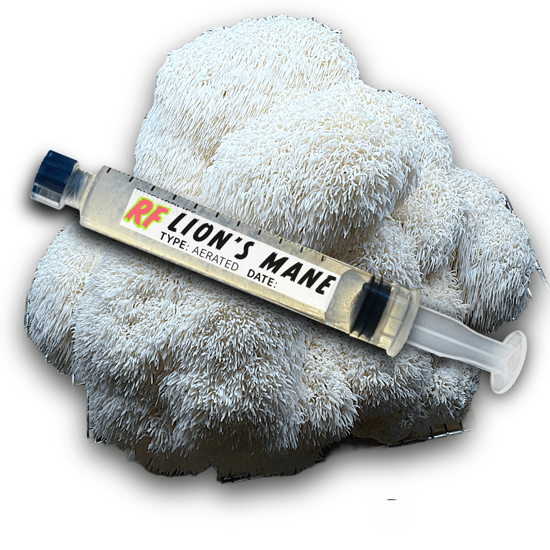 My Store Lion's Mane (Hericium Erinaceus) Syringe Kit