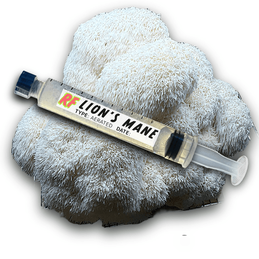 My Store Lion's Mane (Hericium Erinaceus) Syringe Kit