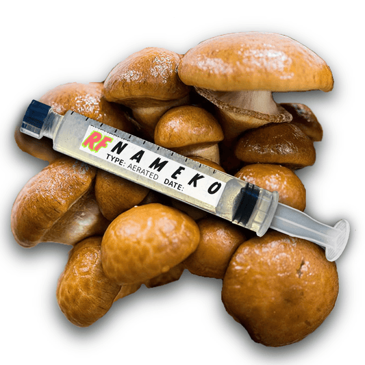 My Store Nameko (Pholiota microspora) Syringe Kit