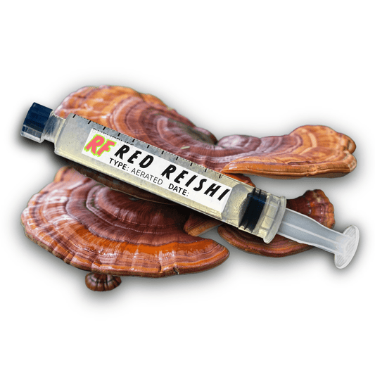 My Store Red Reishi (Ganoderma lucidum) Syringe Kit