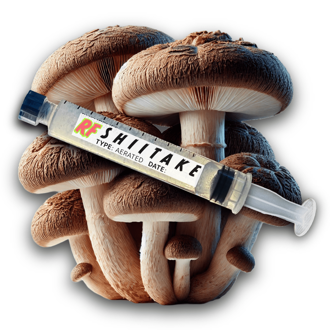 My Store Shiitake (Lentinula edodes) Syringe Kit