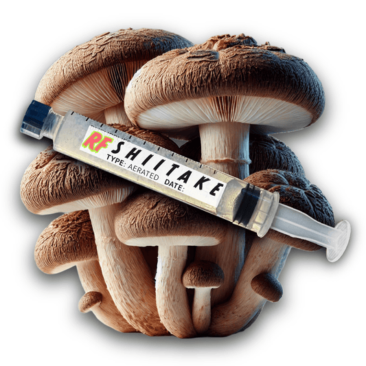 My Store Shiitake (Lentinula edodes) Syringe Kit