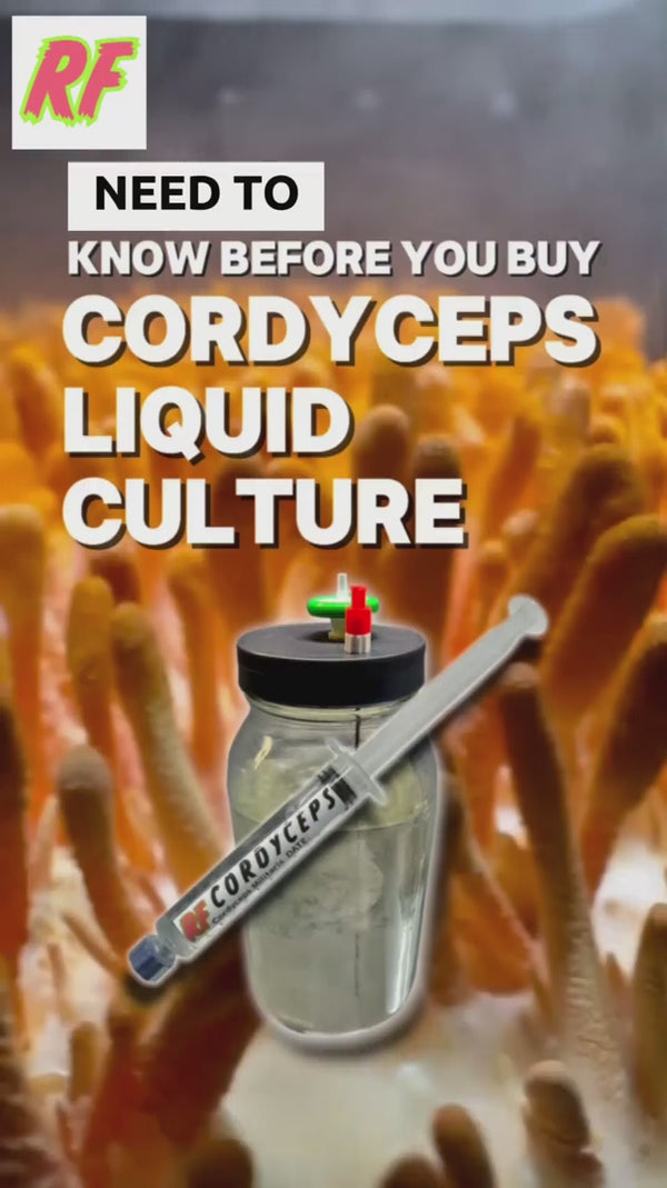 Video on what growers need to know before they buy Cordyceps Liquid Culture.
