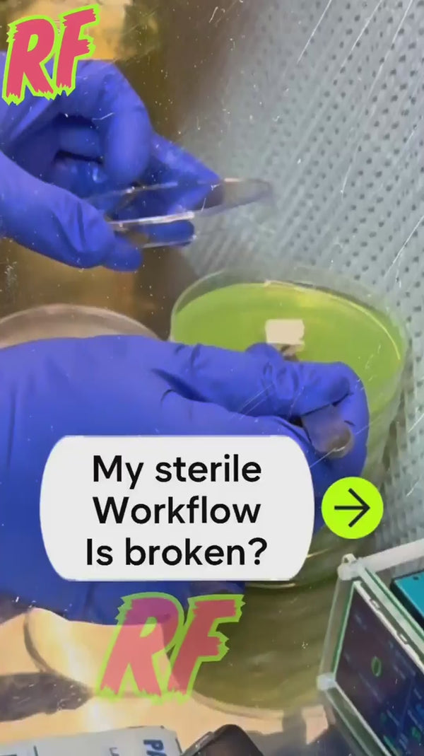 Video on how automated sterilizers can improve your agar workflow