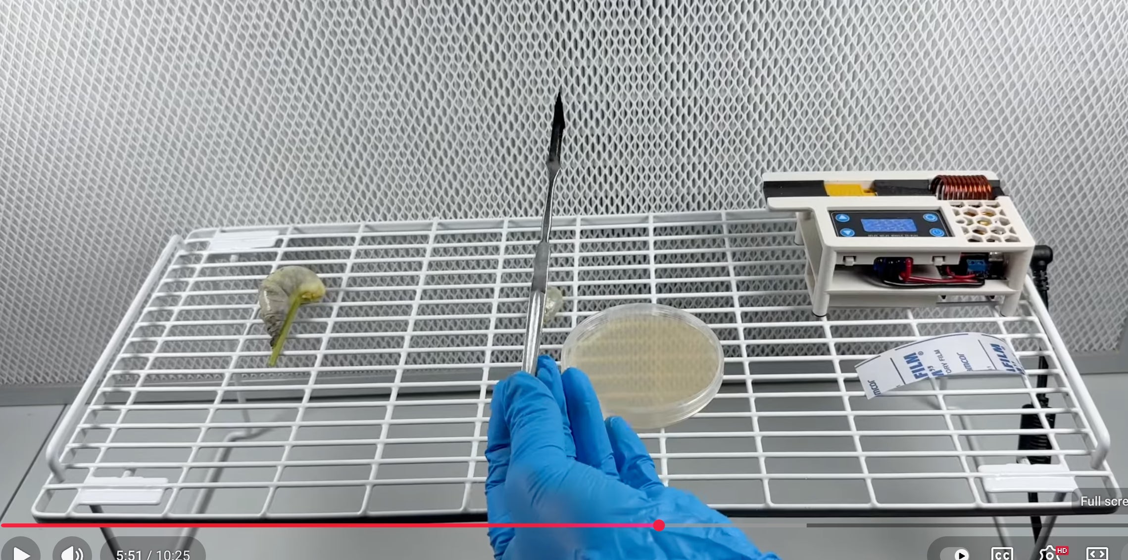 mycology lab bench with scalpel, agar plate, flow hood and induction sterilizer