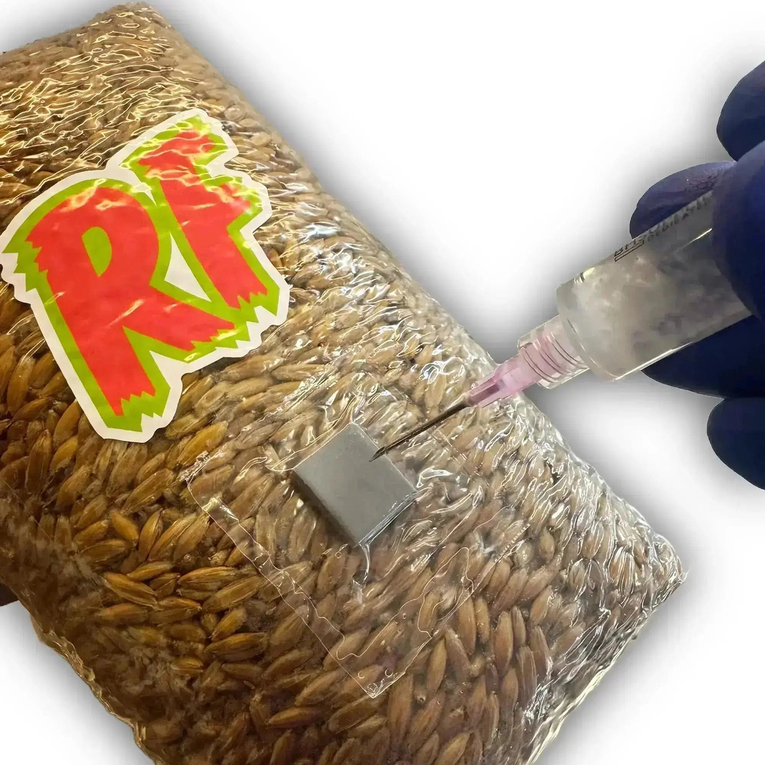 Rhizo Funga 3lb Inoculated Grain Spawn Bag