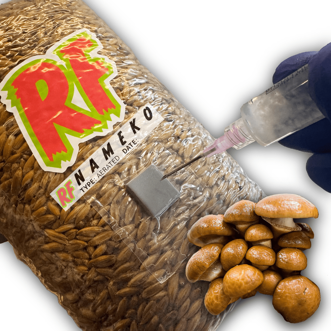 Rhizo Funga Nameko (Pholiota Microspora) Grain Spawn