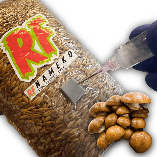 Rhizo Funga Nameko (Pholiota Microspora) Grain Spawn