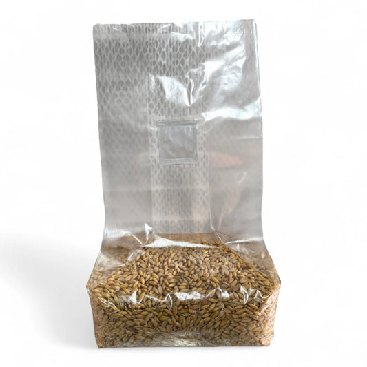 Rhizo Funga Sterilized Grain 5 Ib Organic Whole Oats Sterilized Unicorn 3T Grain Bag