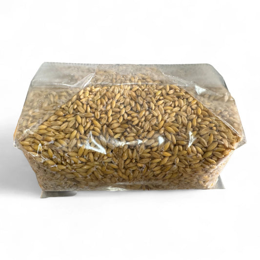 Rhizo Funga Sterilized Grain 5 Ib Organic Whole Oats Sterilized Unicorn 3T Grain Bag